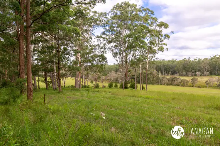 Main view of Homely rural property listing, Lot 176 Jocks Road, Collombatti NSW 2440
