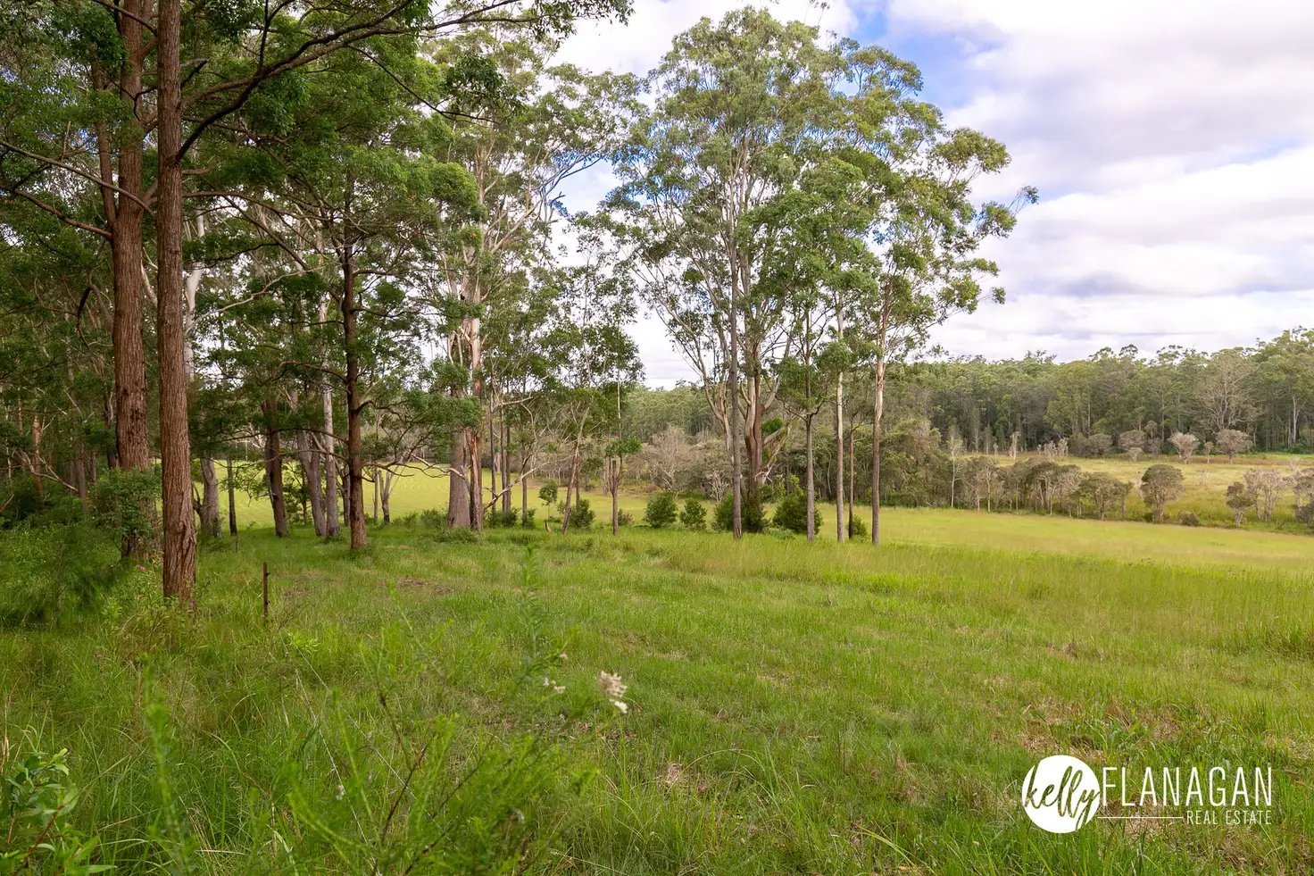 Main view of Homely rural property listing, Lot 176 Jocks Road, Collombatti NSW 2440