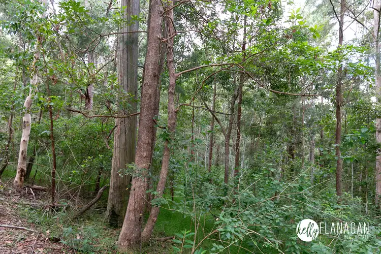 Sixth view of Homely rural property listing, Lot 176 Jocks Road, Collombatti NSW 2440