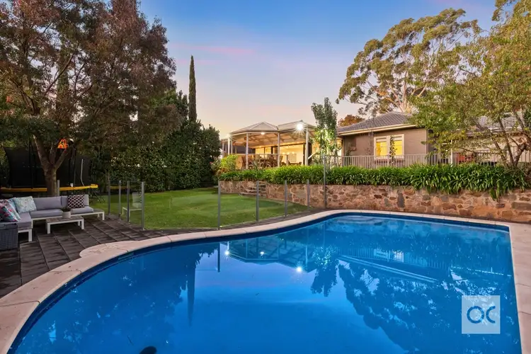 20 Pitcairn Avenue, Urrbrae SA 5064