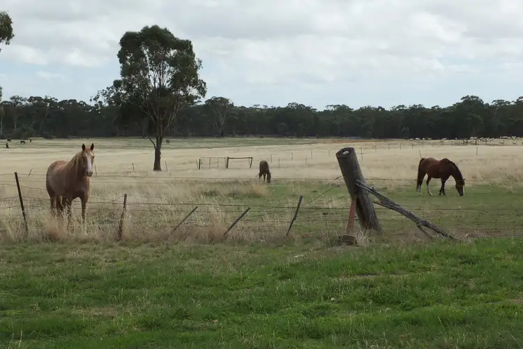 Main view of Homely rural property listing, 7064 Pyrenees Highway, Avoca VIC 3467