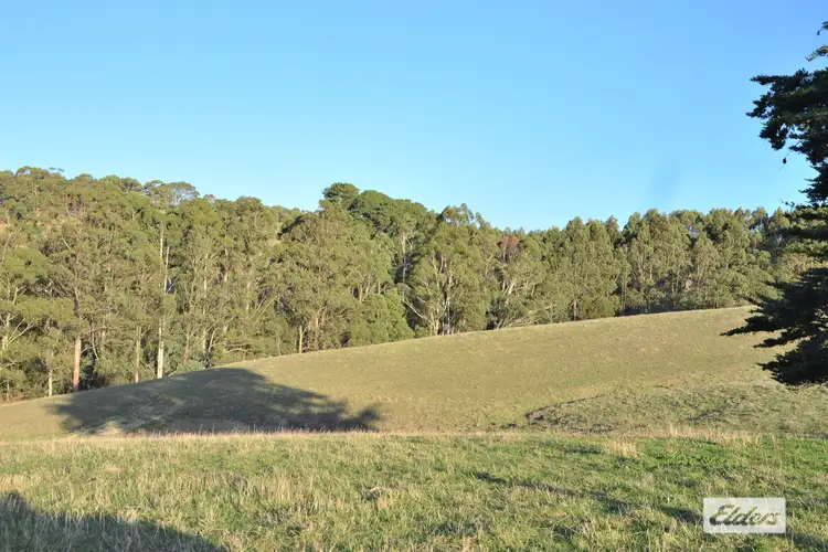 Main view of Homely rural property listing, 29 Chapmans Road, Bena VIC 3946