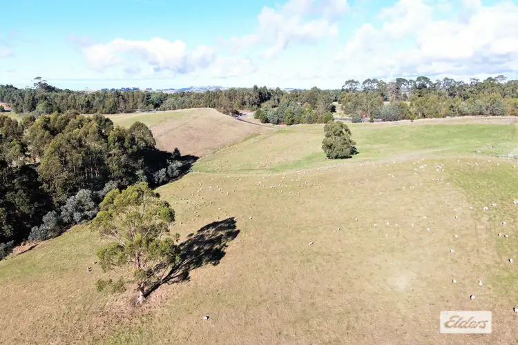 Fourth view of Homely rural property listing, 29 Chapmans Road, Bena VIC 3946