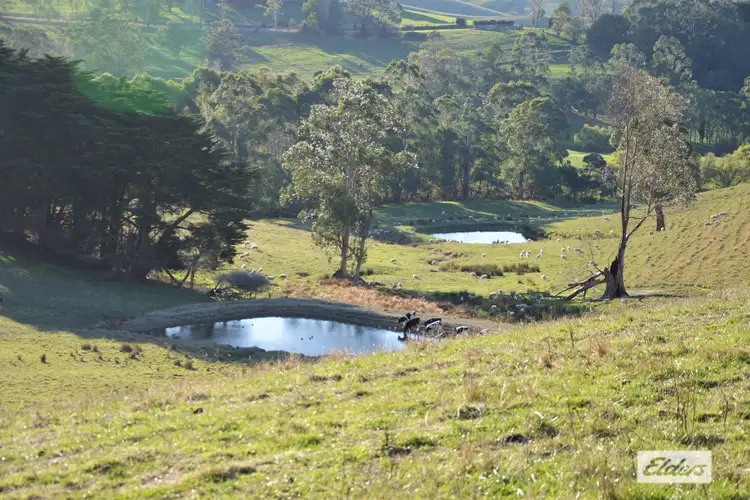 Fifth view of Homely rural property listing, 29 Chapmans Road, Bena VIC 3946