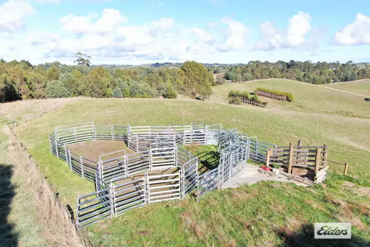 Seventh view of Homely rural property listing, 29 Chapmans Road, Bena VIC 3946