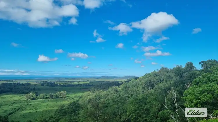 Fifth view of Homely house listing, 1189 Yakapari-Seaforth Road, Mount Jukes QLD 4740