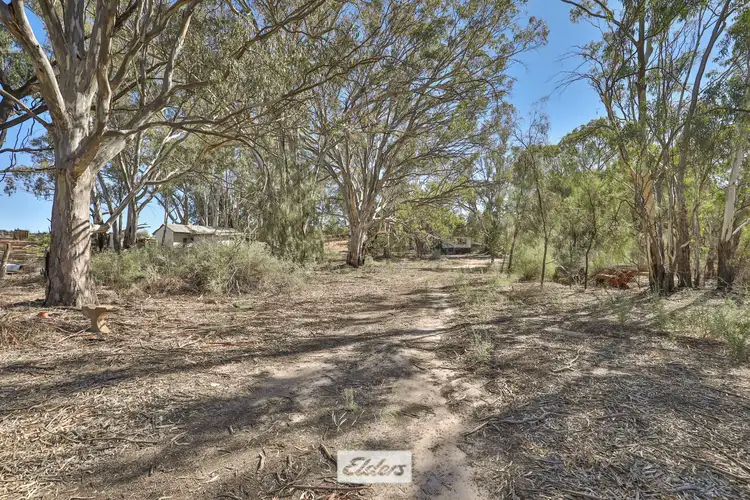 Fourth view of Homely rural property listing, 4036 Kulkyne Way, Colignan VIC 3494