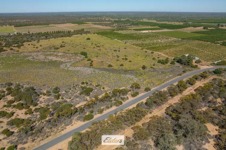 Seventh view of Homely rural property listing, 4036 Kulkyne Way, Colignan VIC 3494