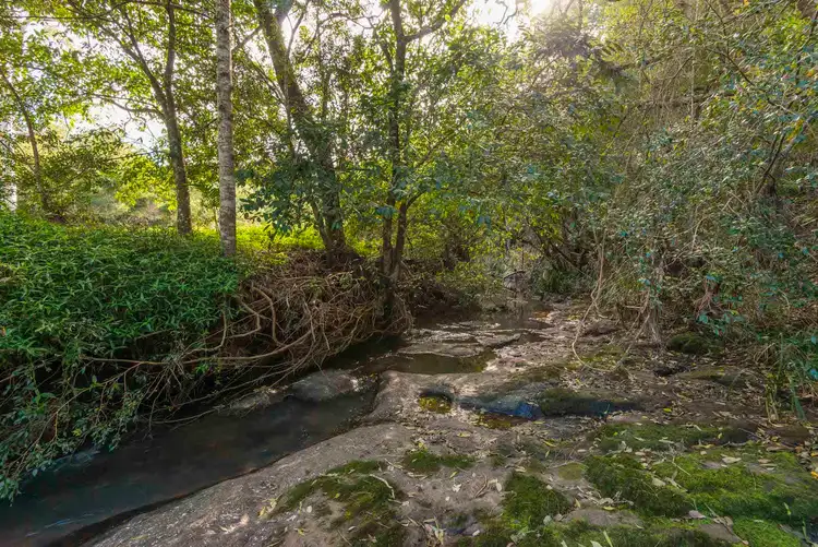 Fourth view of Homely land listing, 130 Bolziccos Road, Cawongla NSW 2474