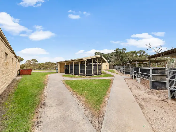 Sixth view of Homely house listing, 46 Earlston Circuit, Cranbourne VIC 3977