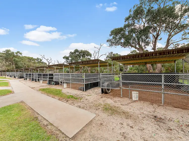 Seventh view of Homely house listing, 46 Earlston Circuit, Cranbourne VIC 3977