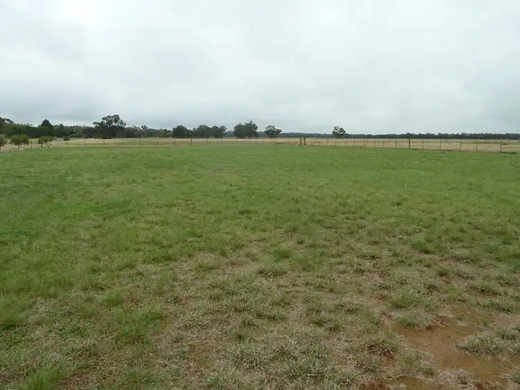 Seventh view of Homely rural property listing, 23 Gunya Flat Road, Charlton VIC 3525