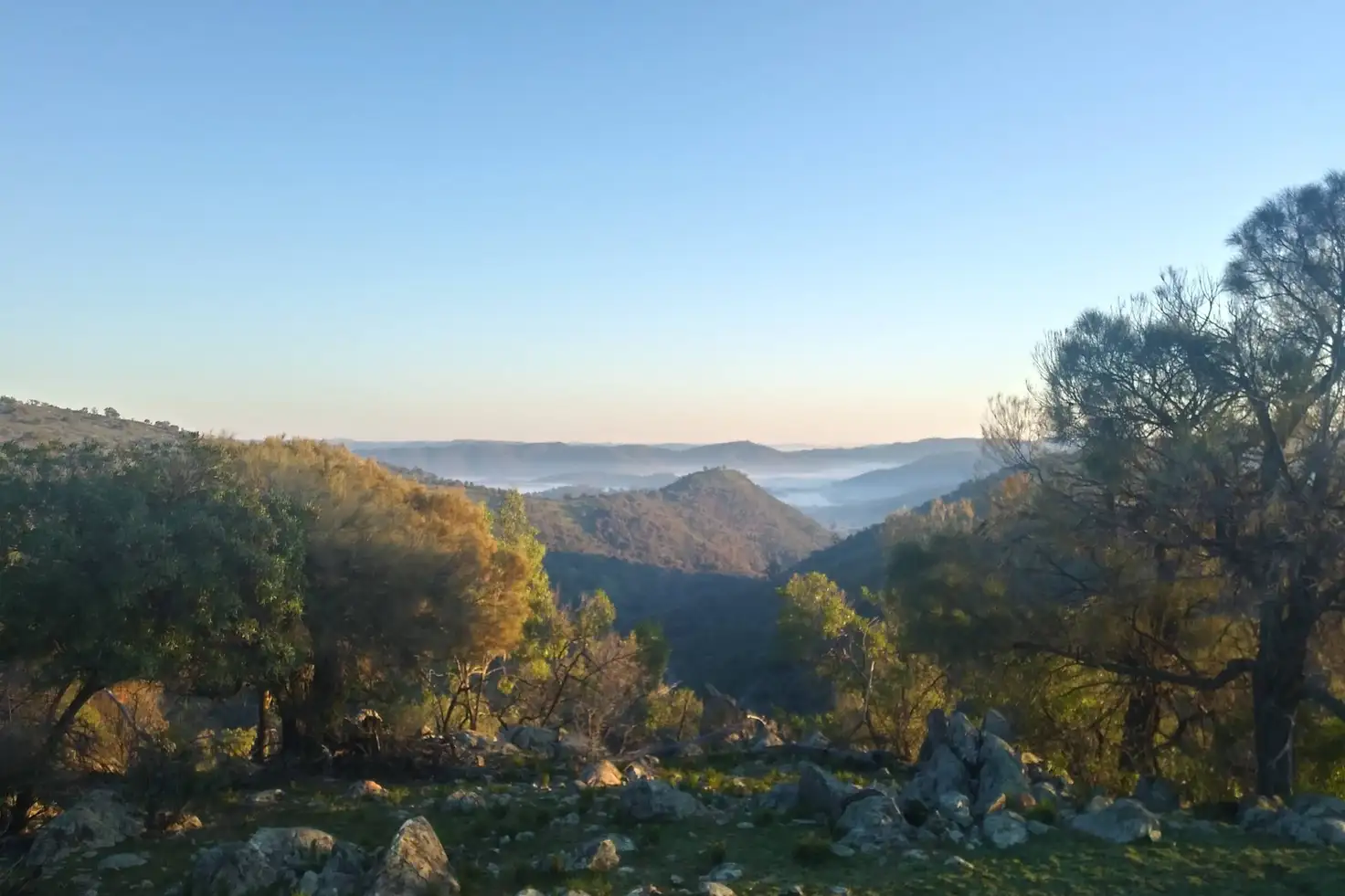 Main view of Homely rural property listing, Lot 52 Highland Home Road, Mudgee NSW 2850
