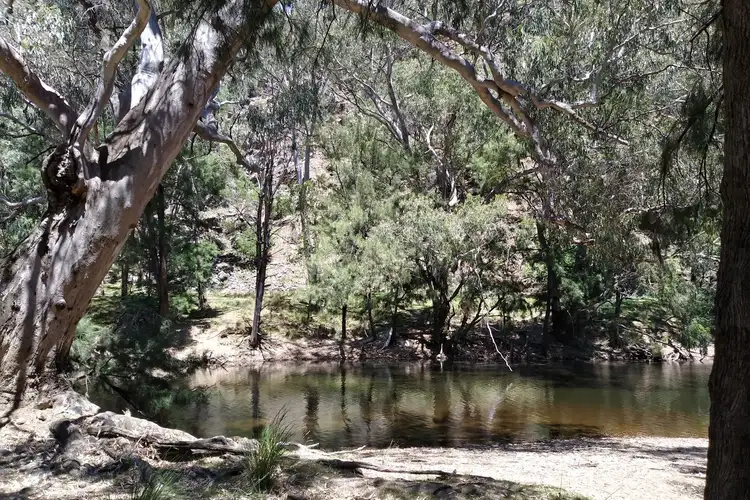 Seventh view of Homely rural property listing, Lot 52 Highland Home Road, Mudgee NSW 2850