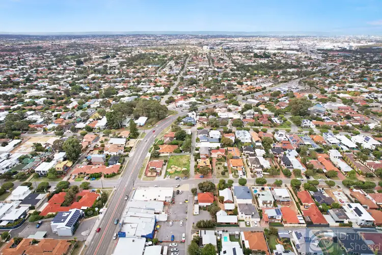 Sixth view of Homely house listing, 239 Flamborough Street, Doubleview WA 6018