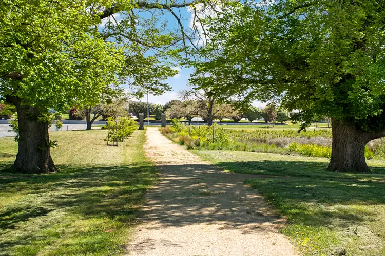 Fifth view of Homely house listing, 97 Howe Street, Miners Rest VIC 3352
