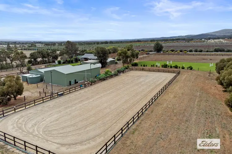 Third view of Homely rural property listing, 3708 Main South Road, Aldinga Beach SA 5173