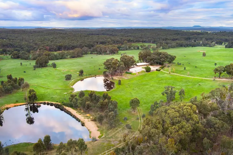 Main view of Homely house listing, 19 Mackie Lane, Newstead VIC 3462