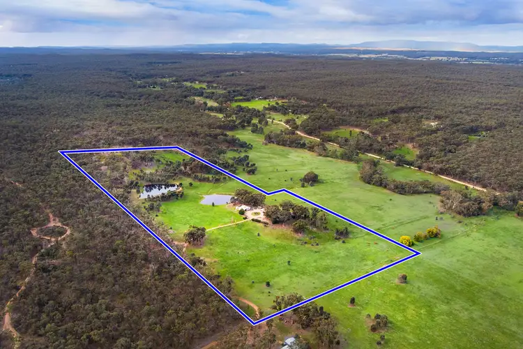 Second view of Homely house listing, 19 Mackie Lane, Newstead VIC 3462
