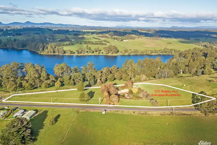 Second view of Homely rural property listing, 1111 Ridgley Highway, Ridgley TAS 7321