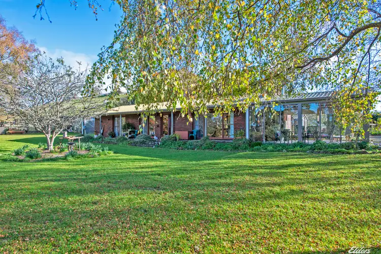 Third view of Homely rural property listing, 1111 Ridgley Highway, Ridgley TAS 7321