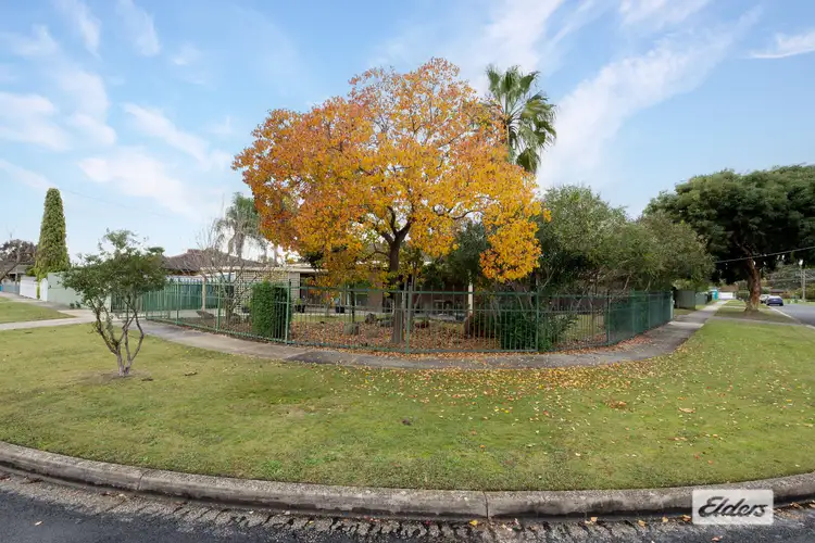 Main view of Homely house listing, 16 Nicole Crescent, Wodonga VIC 3690