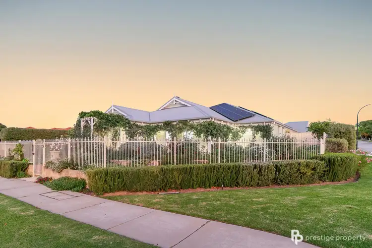 1 Swanmore Street, Butler WA 6036