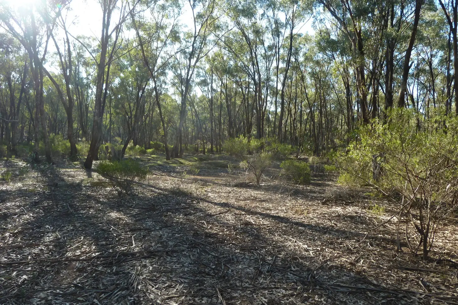 Main view of Homely rural property listing, Lot 27 Wallaby Way, Wedderburn VIC 3518