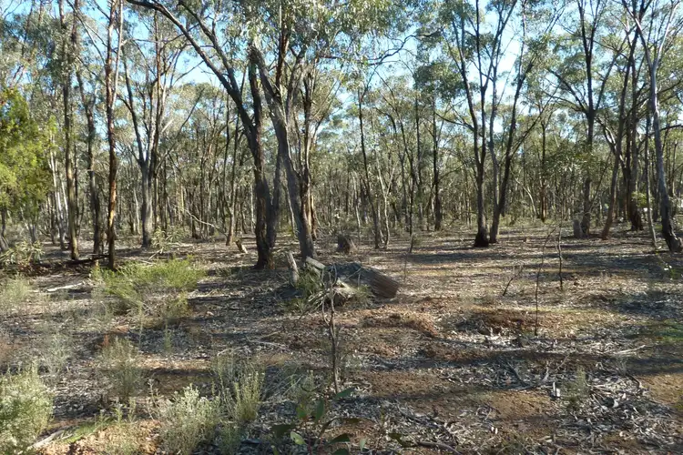 Second view of Homely rural property listing, Lot 27 Wallaby Way, Wedderburn VIC 3518