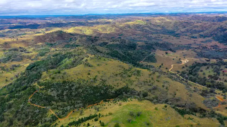 Fifth view of Homely rural property listing, 3620 Yarrabin Road, Mudgee NSW 2850