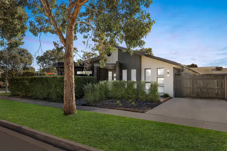 12 Phyllis Frost Street, Forde ACT 2914