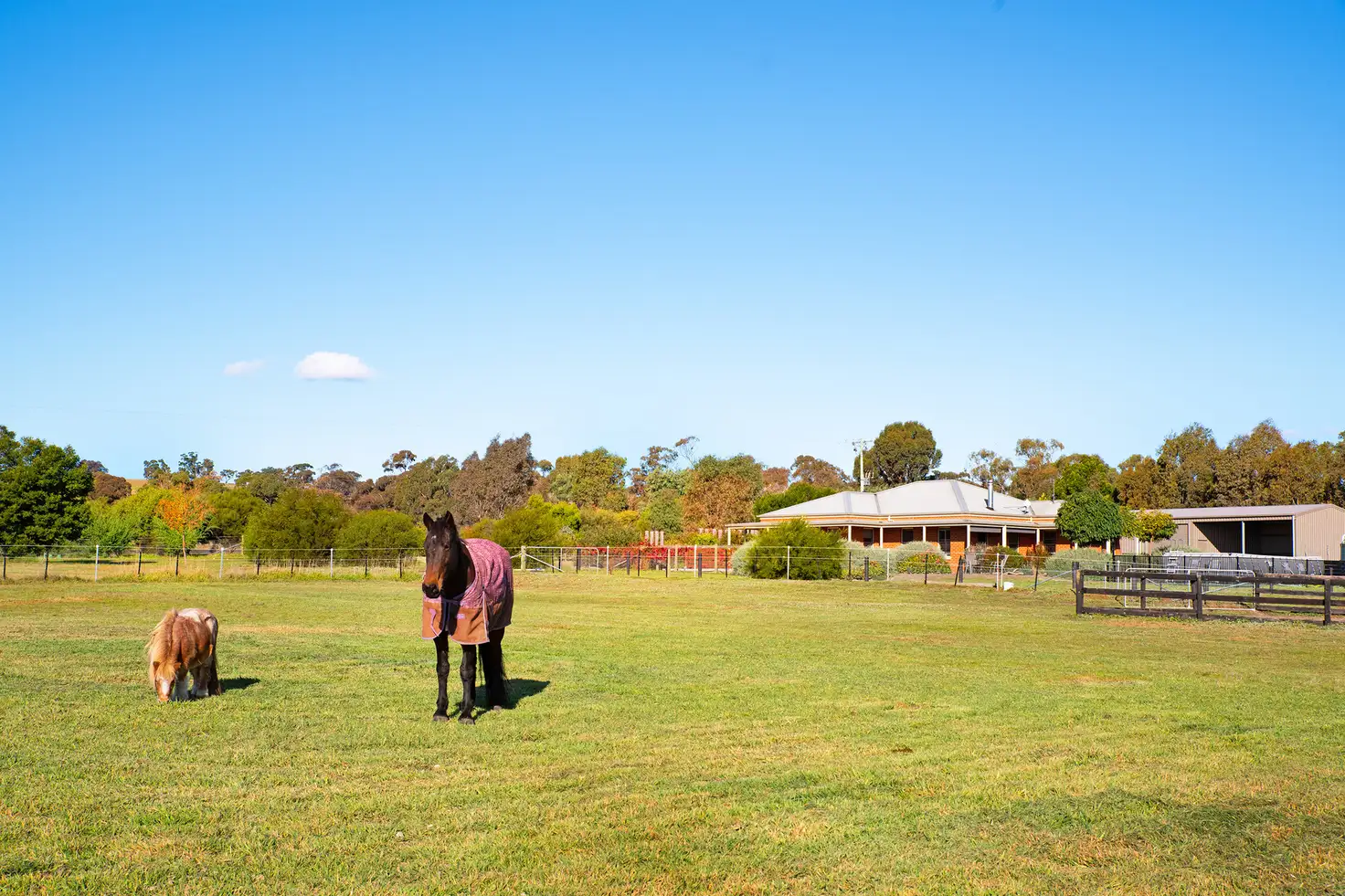 Main view of Homely house listing, 52 Mulberry Lane, Lockwood South VIC 3551