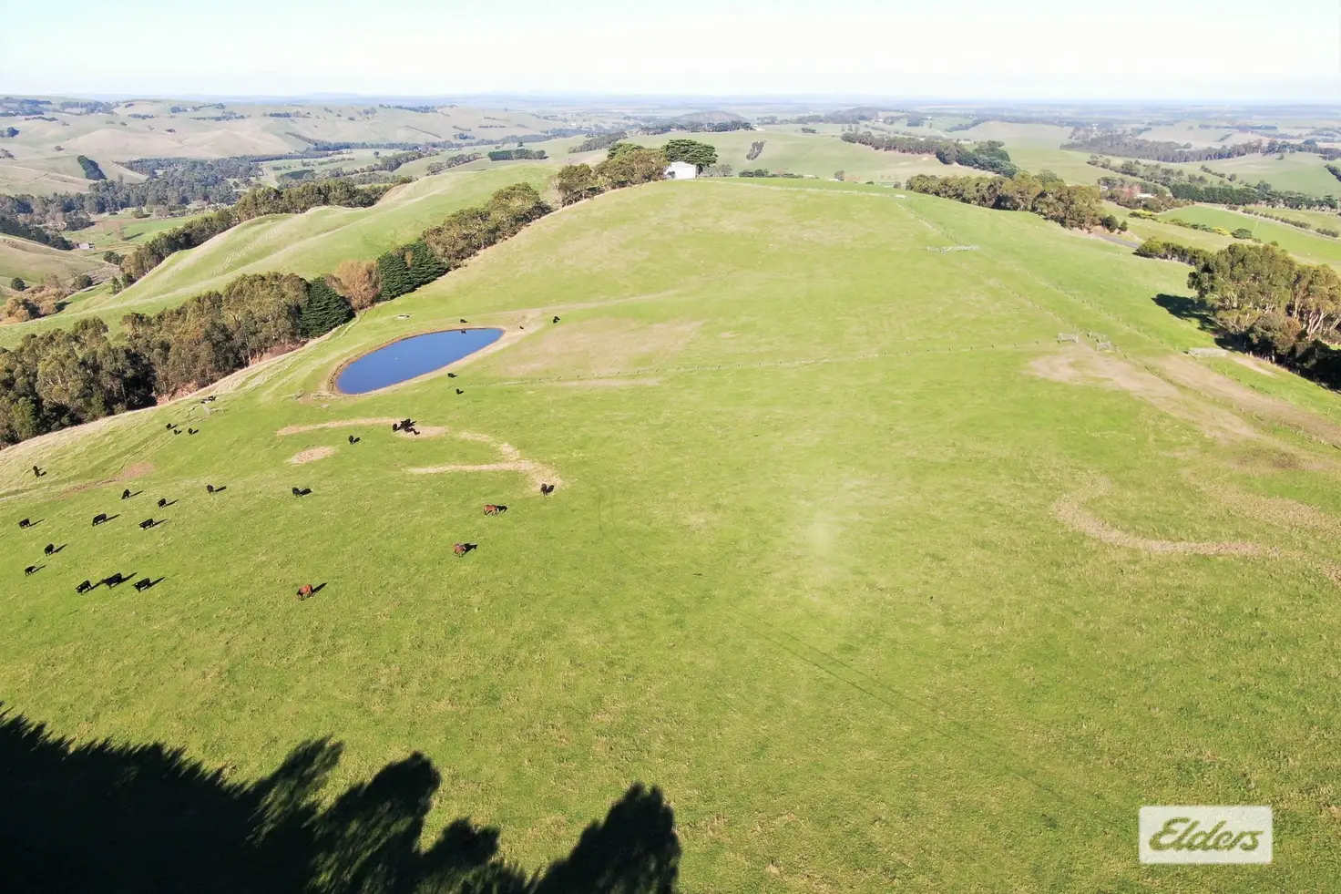 Main view of Homely rural property listing, 452 Sheepways Road, Krowera VIC 3945