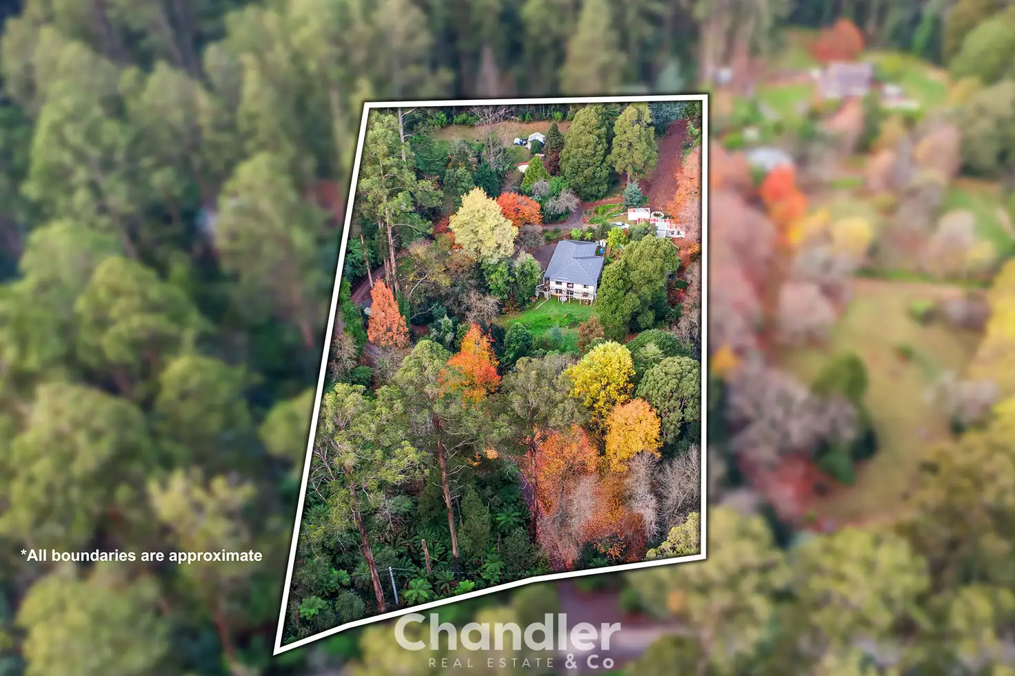 Main view of Homely house listing, 77 The Crescent, Sassafras VIC 3787
