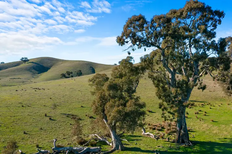 Seventh view of Homely rural property listing, 177 Middle Creek Road, Kanumbra VIC 3719