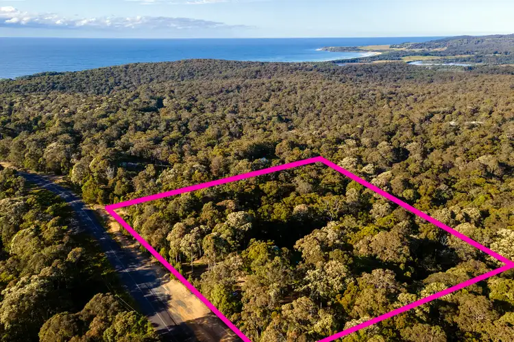 Third view of Homely rural property listing, 3388 Tathra - Bermagui Road, Barragga Bay NSW 2546
