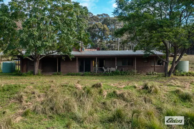 Fifth view of Homely house listing, 180 Blairs Road, Long Beach NSW 2536