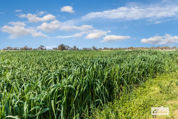 Sixth view of Homely rural property listing, Lot 2C Kochs Road, Sebastian VIC 3556