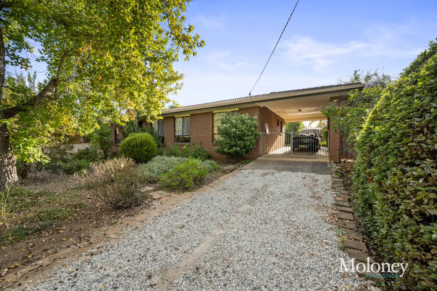 Main view of Homely house listing, 59 Federation Avenue, Corowa NSW 2646