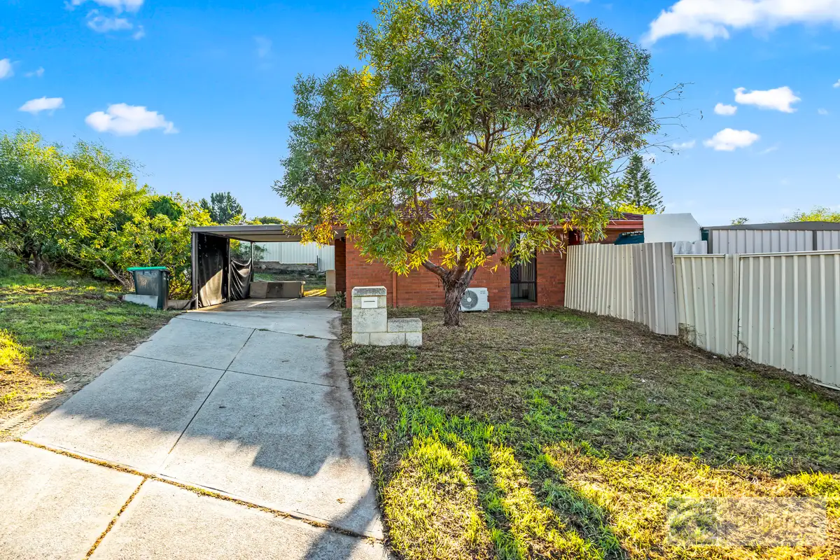 Main view of Homely house listing, 3 Wampum Place, Heathridge WA 6027
