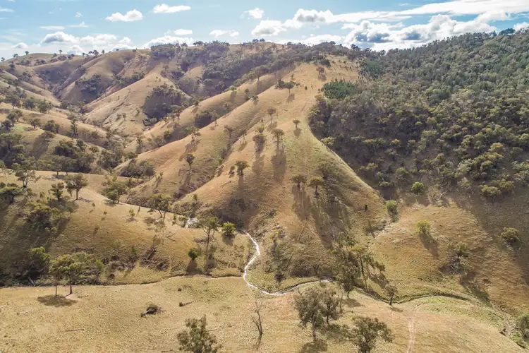 Main view of Homely rural property listing, 2083 Reg Hailstone Way, Wyangala NSW 2808