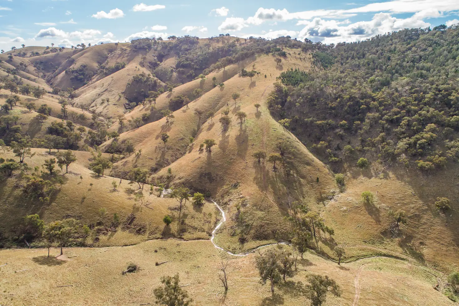 Main view of Homely rural property listing, 2083 Reg Hailstone Way, Wyangala NSW 2808