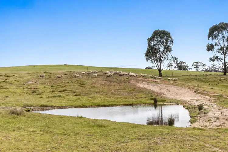 Third view of Homely rural property listing, 545 Carnochans Road, Myrtle Creek VIC 3551