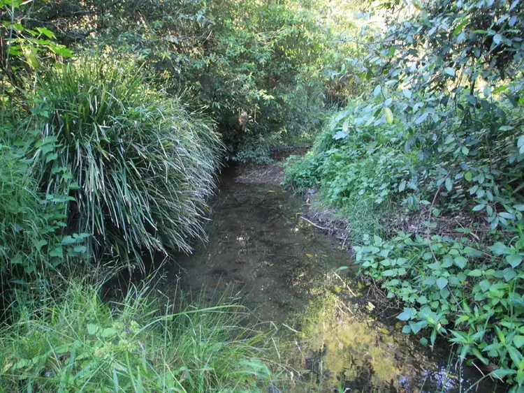 Seventh view of Homely rural property listing, Lot 2 /3565 Kyogle Road, Mount Burrell NSW 2484