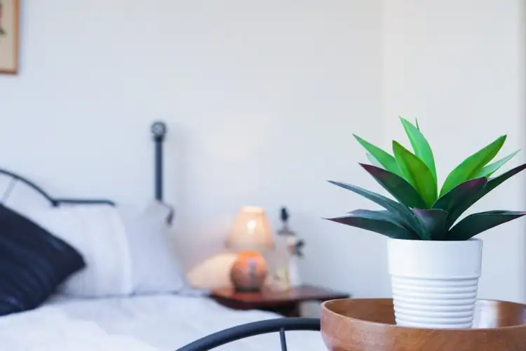 Fourth view of Homely unit listing, 26/23-29 Gray Street, Sutherland NSW 2232