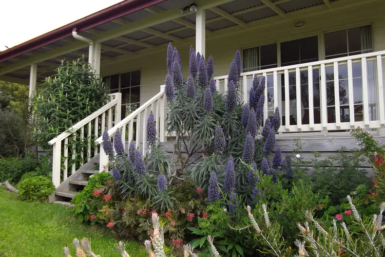 Third view of Homely house listing, 830 Bena-Kongwak Road, Bena VIC 3946