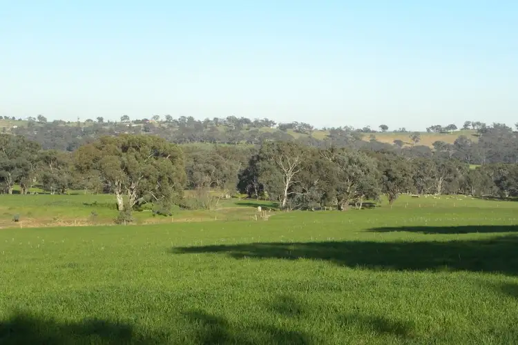 Sixth view of Homely land listing, 976 Forbes Lane, Young NSW 2594