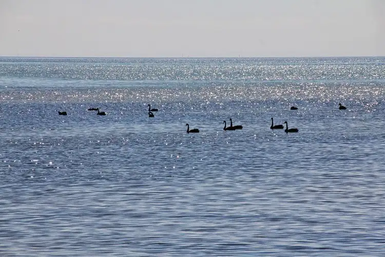 Fifth view of Homely house listing, 164 Bathing Box, Rosebud VIC 3939