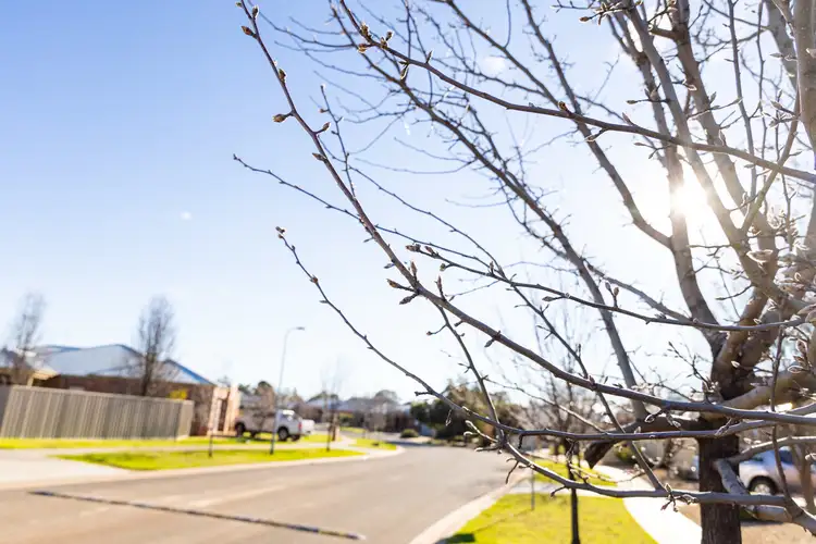 Fourth view of Homely land listing, LOT 9 Ambassador Estate Extension, Red Cliffs VIC 3496