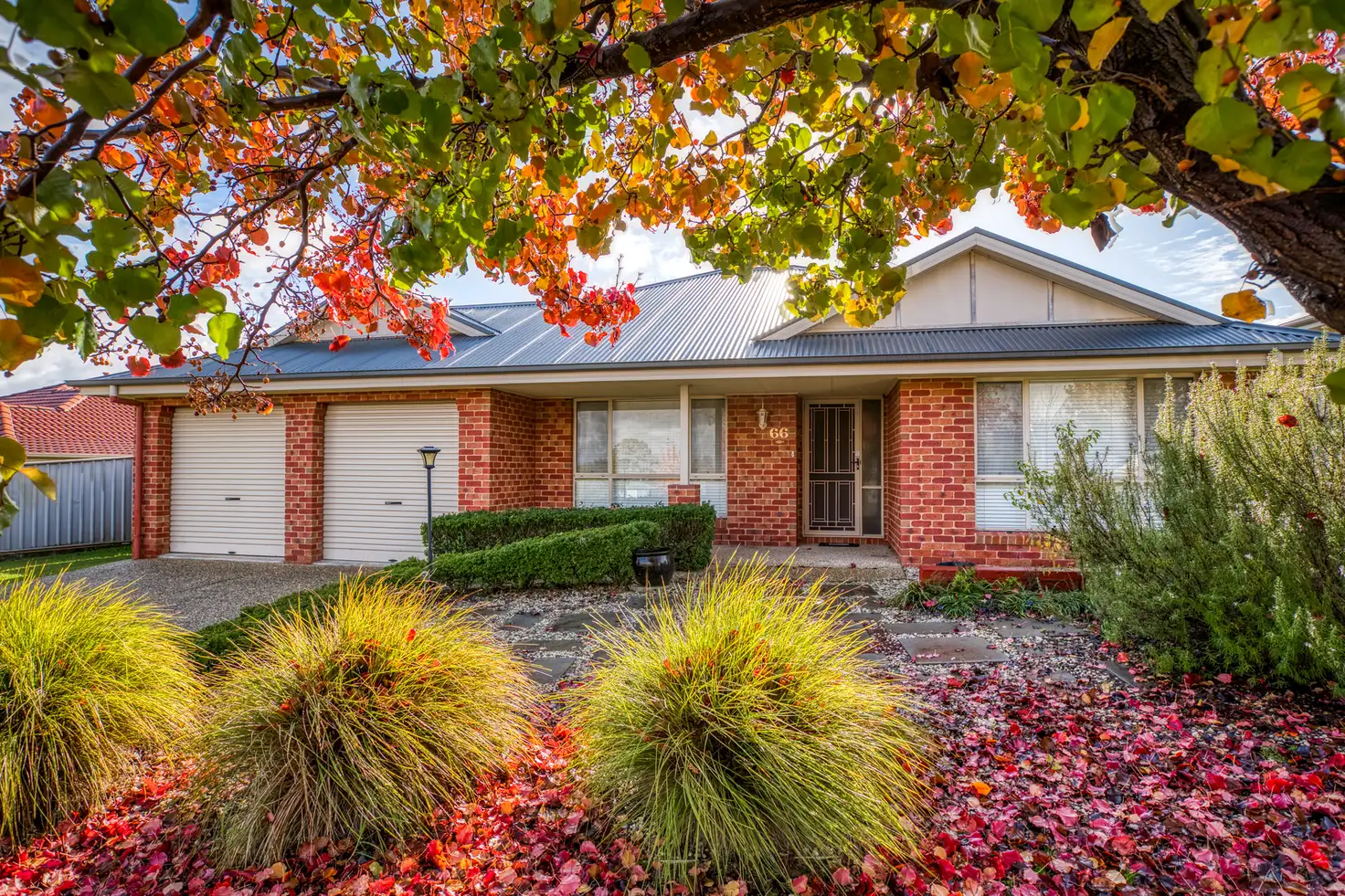 Main view of Homely house listing, 66 Dryandra Way, Thurgoona NSW 2640
